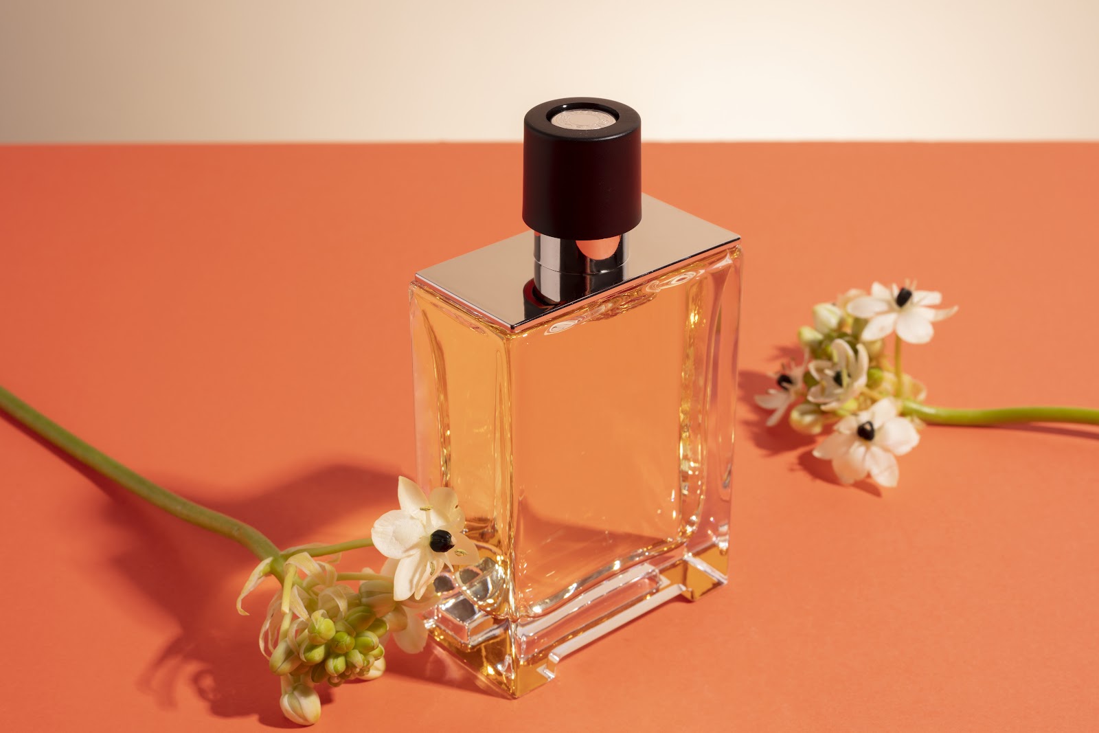 Perfume cítrico feminino no verão: como escolher uma fragrância leve e marcante